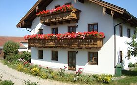 Bergmann